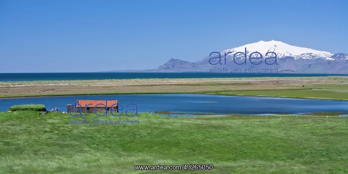 : View of Icelandic farm, with Snaefellsjokull : View of Icelandic farm, with Snaefellsjokull