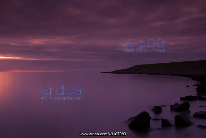 : View over the IJsselmeer during sunrise : View over the IJsselmeer during sunrise