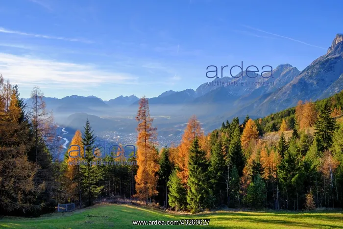 : View of the Inn Valley, from the Peace Bell, Mosern : View of the Inn Valley, from the Peace Bell, Mosern