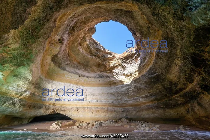 : A view of the inside of the Benagil Cave on the : A view of the inside of the Benagil Cave on the
