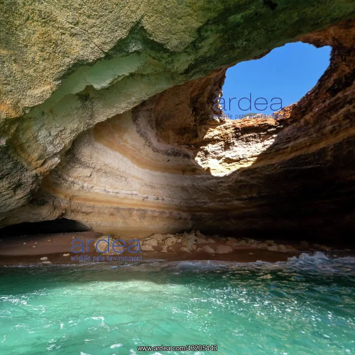 : A view of the inside of the Benagil Cave on the : A view of the inside of the Benagil Cave on the