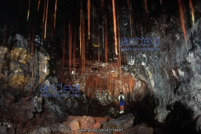  : View Inside Kaumana Lava Tube, Hawaii
