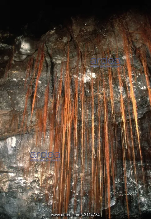 : View Inside Kaumana Lava Tube, Hawaii : View Inside Kaumana Lava Tube, Hawaii