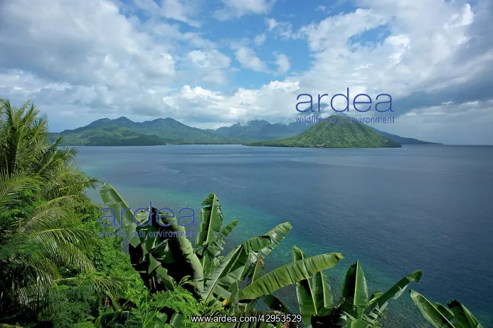 : View toward Island of Tidore from Ternate : View toward Island of Tidore from Ternate