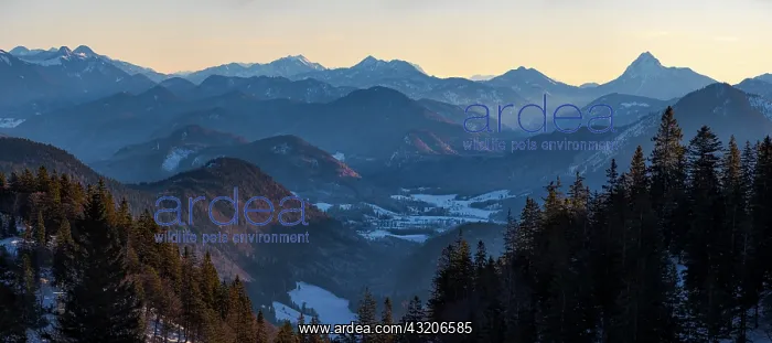: View towards Jachenau, Mt. Jochberg and Mt. Guffert : View towards Jachenau, Mt. Jochberg and Mt. Guffert