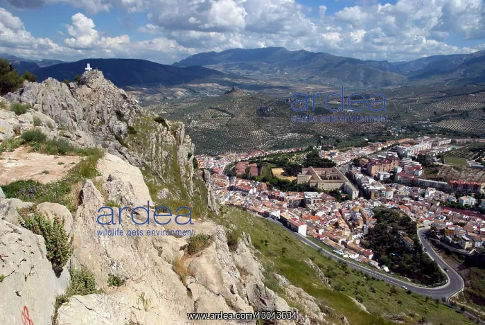 : View of Jaen with countryside and with rocks and : View of Jaen with countryside and with rocks and