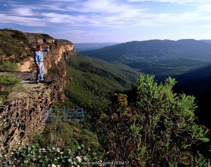 : View of Jamison Valley from Wentworth Falls, with : View of Jamison Valley from Wentworth Falls, with