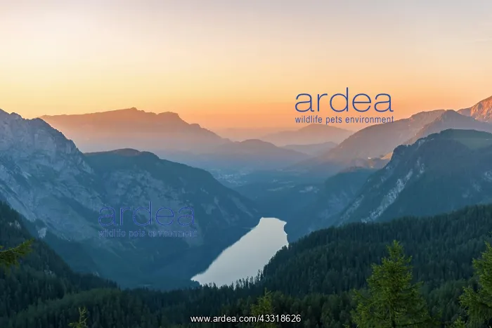 : View over the K&, x1aea67;ssee from the Feldkogel : View over the K&, x1aea67;ssee from the Feldkogel