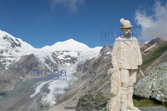 : View of the Kaiser Franz Josef figure - the Pasterze : View of the Kaiser Franz Josef figure - the Pasterze