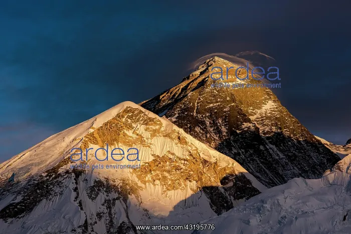 : View from Kala Patthar in the evening light on Mount : View from Kala Patthar in the evening light on Mount