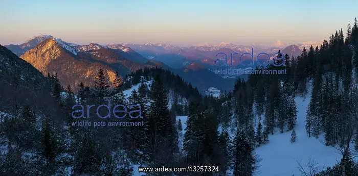 : View towards Karwendel Mountains, Mt. Jochberg and : View towards Karwendel Mountains, Mt. Jochberg and