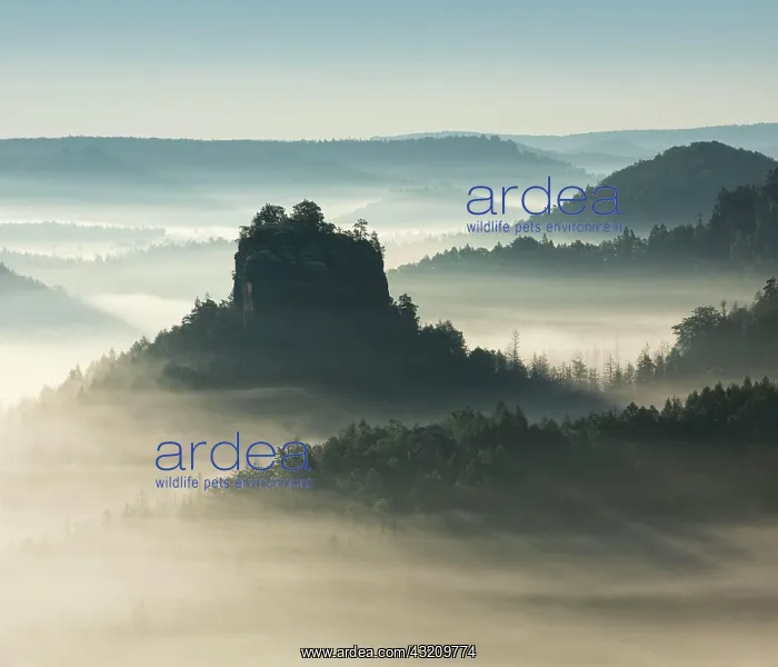 : View from Kleiner Winterberg at sunrise, morning : View from Kleiner Winterberg at sunrise, morning