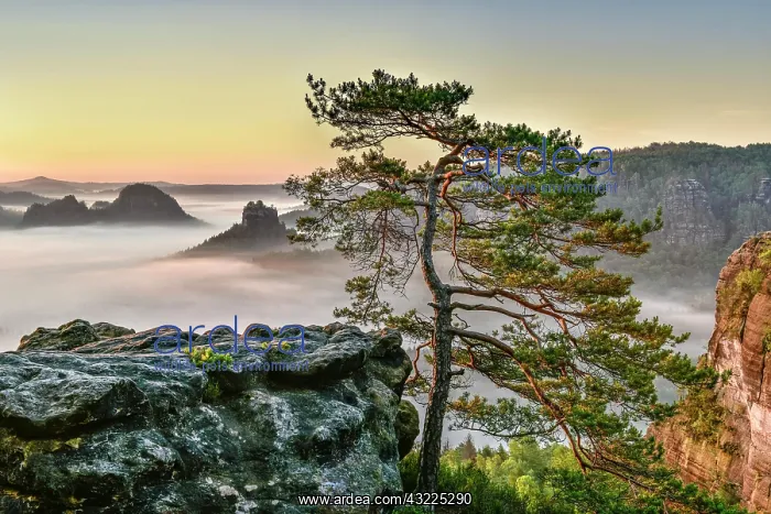 : View from Kleiner Winterberg at sunrise, morning : View from Kleiner Winterberg at sunrise, morning