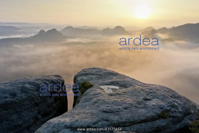 : View from Kleiner Winterberg at sunrise View of : View from Kleiner Winterberg at sunrise View of