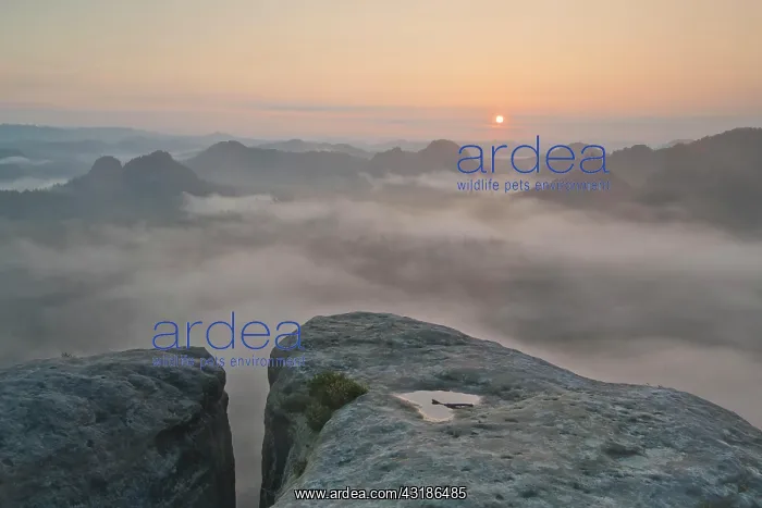 : View from Kleiner Winterberg at sunrise View of : View from Kleiner Winterberg at sunrise View of