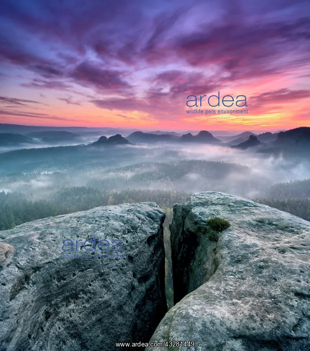 : View from the Kleines Winterberg at sunrise, morning : View from the Kleines Winterberg at sunrise, morning