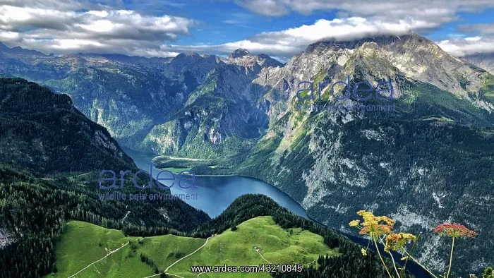 : View of the Knnigssee, The Knnigsblick, Watzmann : View of the Knnigssee, The Knnigsblick, Watzmann