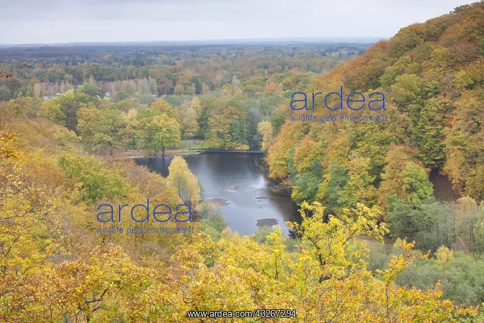 : View from Kopparhatten above Soederasen National : View from Kopparhatten above Soederasen National