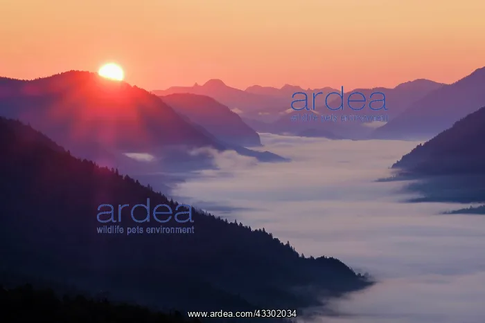 : View from Krepelschrofen at sunrise on mountain : View from Krepelschrofen at sunrise on mountain