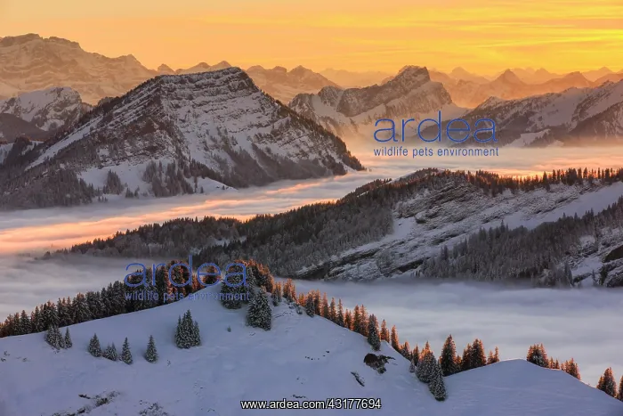 : View from Kronberg, Appenzell, Switzerland, Europe : View from Kronberg, Appenzell, Switzerland, Europe