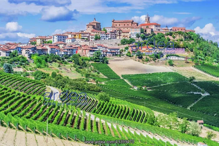 : View of La Morra in the Province of Cuneo, Piedmont : View of La Morra in the Province of Cuneo, Piedmont