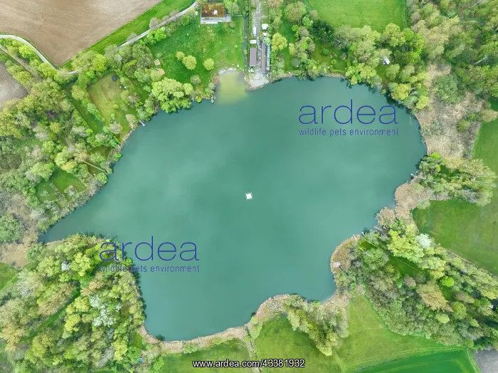 : Top view of Lake Bnhringen near Radolfzell, Constance : Top view of Lake Bnhringen near Radolfzell, Constance