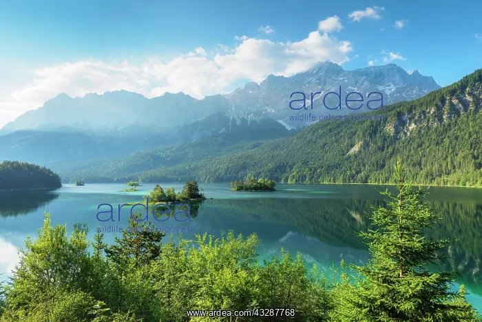 : View over the Lake Eibsee to the Wetterstein range : View over the Lake Eibsee to the Wetterstein range