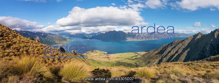 : View of lake in mountain landscape, rugged landscape : View of lake in mountain landscape, rugged landscape