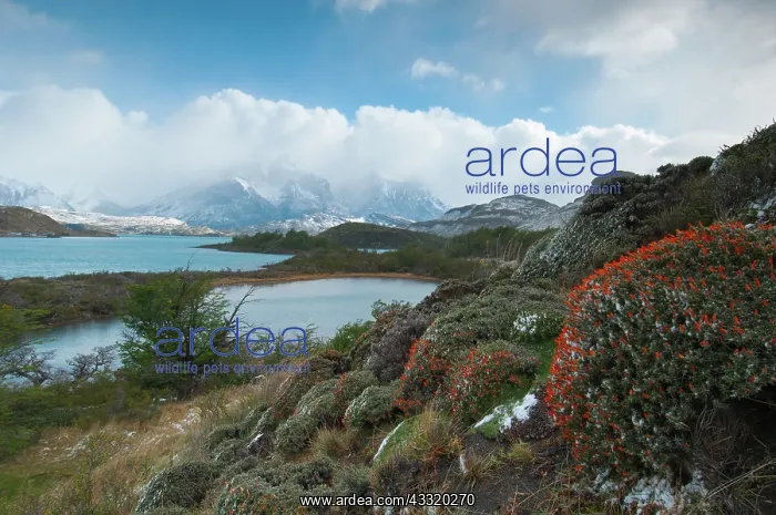 : View on a lake in spring : View on a lake in spring