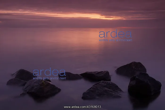 : View over lake during sunrise with stones in foreground : View over lake during sunrise with stones in foreground