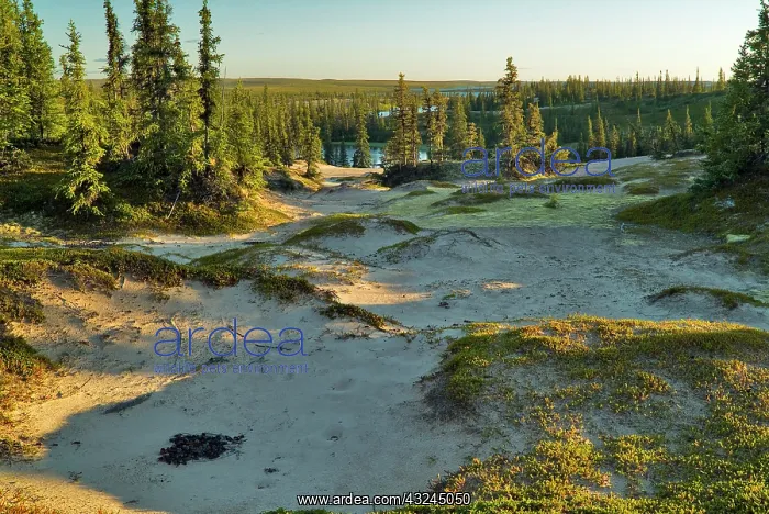 : View of a lake and the surrounding sand : View of a lake and the surrounding sand