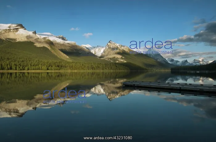 : View from the lakeshore of Maligne Lake : View from the lakeshore of Maligne Lake
