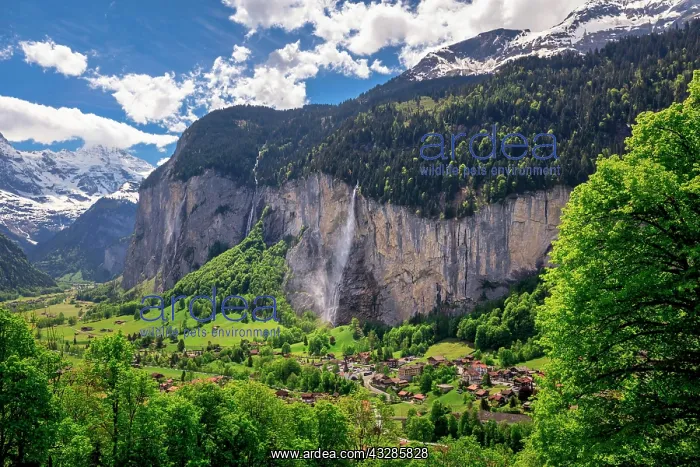  : View of Lauterbrunnen with Staubbach Falls, Interlaken-Oberh