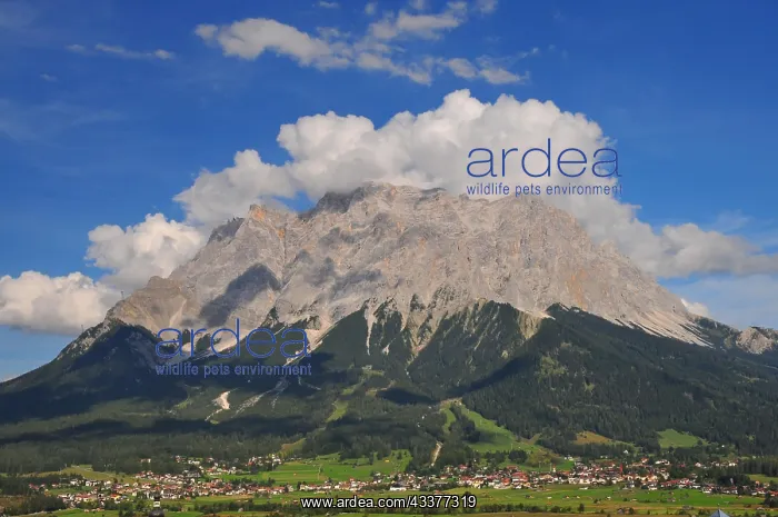 : View from Lermoss towards Ehrwald and the Zugspitze : View from Lermoss towards Ehrwald and the Zugspitze