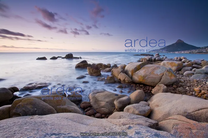 : View of Lion's Head Mountain and boulders : View of Lion's Head Mountain and boulders