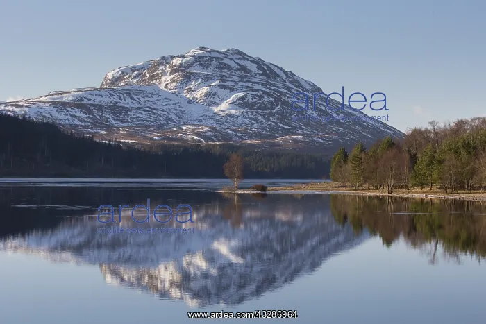 : View at Loch Laggan - Lochaber - Scotland, United : View at Loch Laggan - Lochaber - Scotland, United