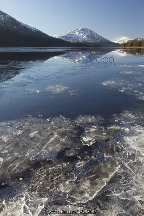 : View at Loch Laggan - Lochaber - Scotland, United : View at Loch Laggan - Lochaber - Scotland, United