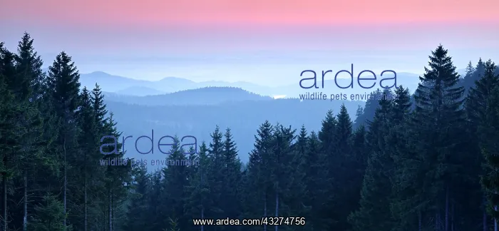 : View over low mountain range landscape, hilly landscape : View over low mountain range landscape, hilly landscape