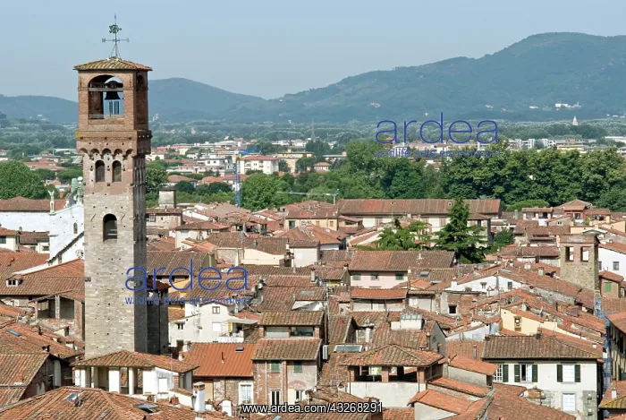 : View of Lucca from Torre Guinigi, Lucca : View of Lucca from Torre Guinigi, Lucca