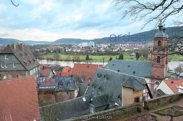 : View of Main River and rooftops, Miltenberg : View of Main River and rooftops, Miltenberg