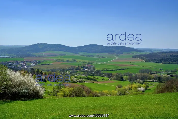 : View of the Main valley in spring, near Bad Staffelstein : View of the Main valley in spring, near Bad Staffelstein