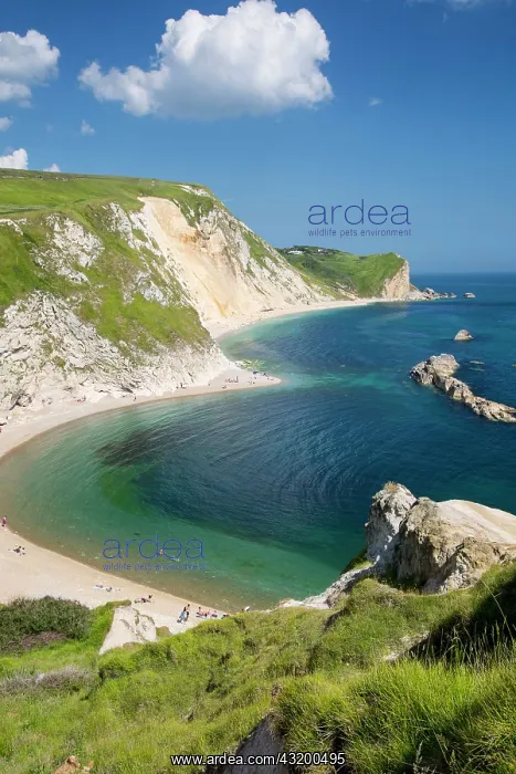 : View above Man O War Bay along the Jurassic Coast : View above Man O War Bay along the Jurassic Coast