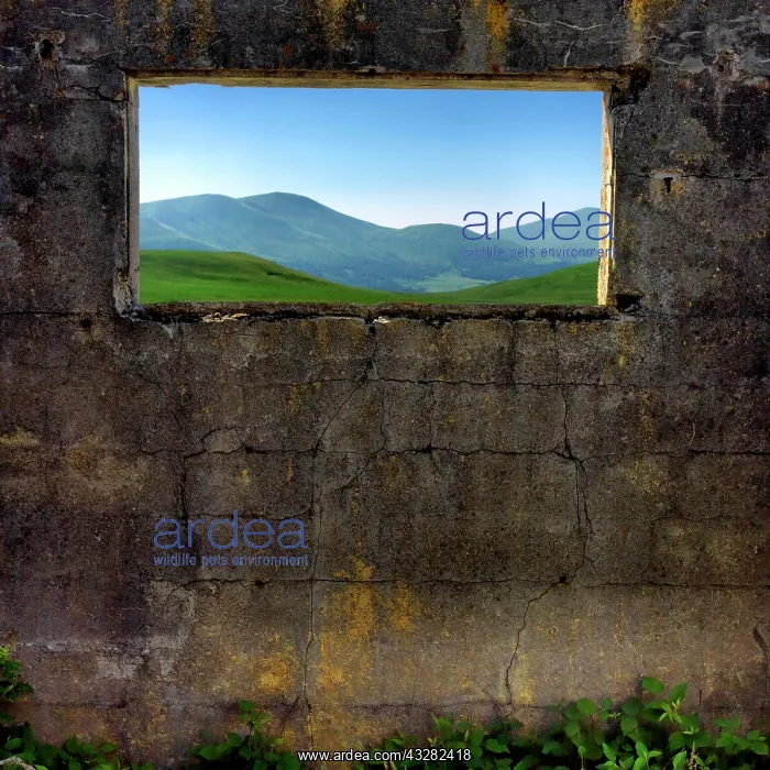 : View on Massif of Sancy, Regional natural park of : View on Massif of Sancy, Regional natural park of