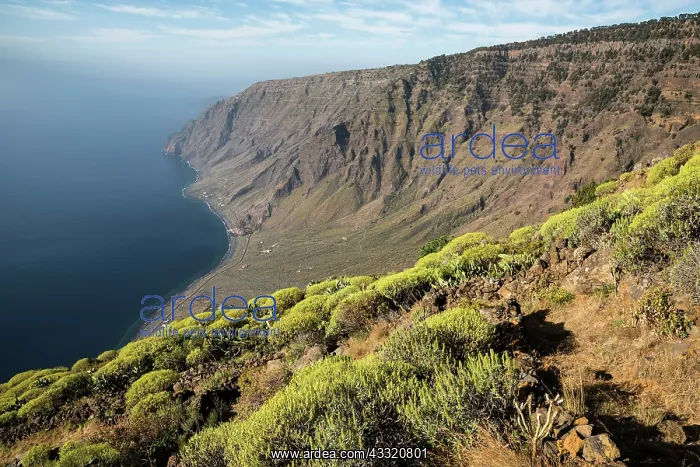 : View from Mirador de Isora viewpoint on Las Playas : View from Mirador de Isora viewpoint on Las Playas