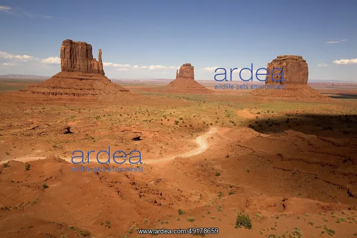 : View of Monument Valley : View of Monument Valley