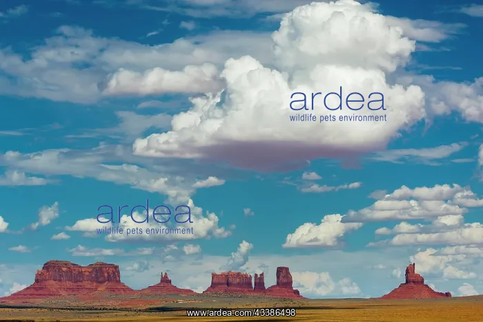 : View of Monument Valley, cloudy sky, cloud, sky : View of Monument Valley, cloudy sky, cloud, sky
