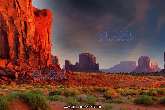 : View of Monument Valley at sunrise, Arizona, USA : View of Monument Valley at sunrise, Arizona, USA