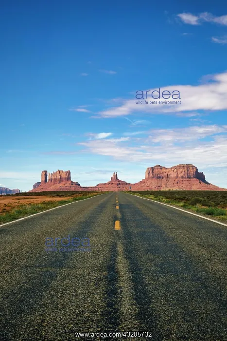 : View of Monument Valley in Utah, looking south : View of Monument Valley in Utah, looking south
