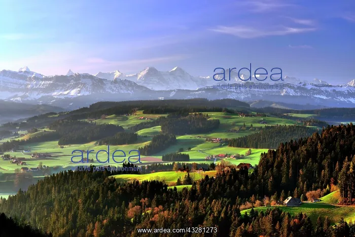 : View from Moosegg over the Emmental, hilly landscape : View from Moosegg over the Emmental, hilly landscape