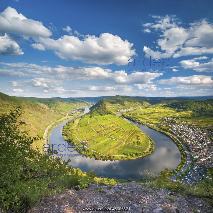  : View of the Moselle bend at Bremmer Calmont, Bremm, Moselle